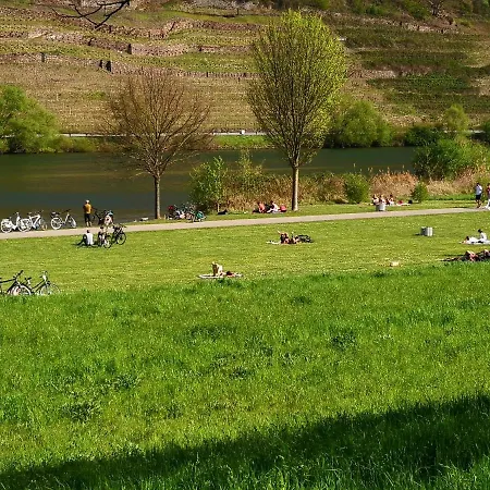 Malefi 2 Am Guelser Moselbogen Daire *